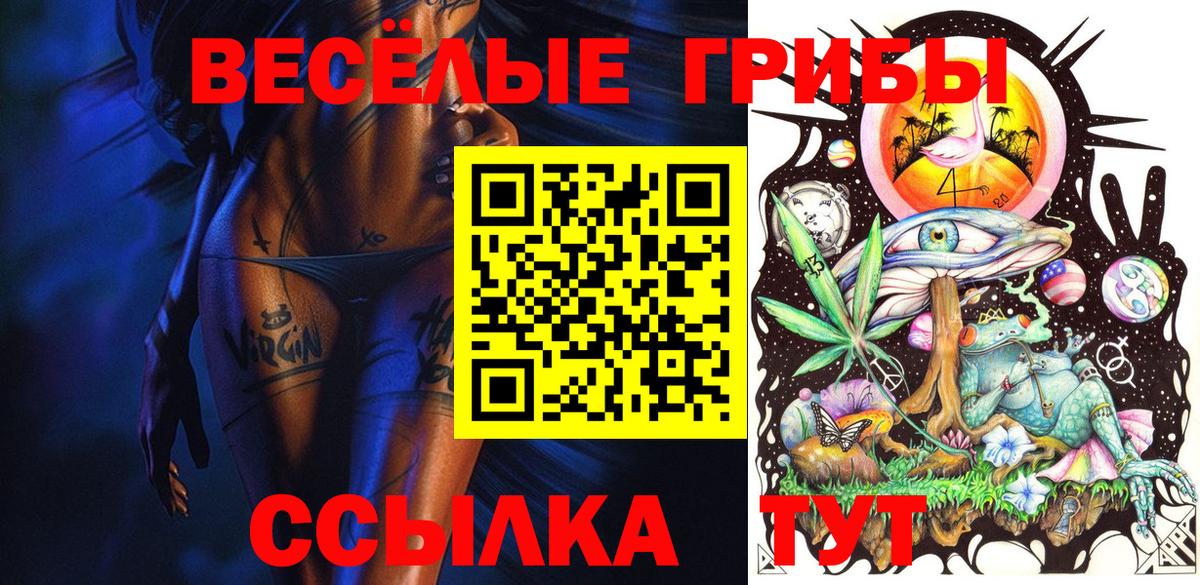 Псилоцибиновые грибы Cubensis  Галлюциногенные грибы Cubensis  Вход с VPN  Партизанск 