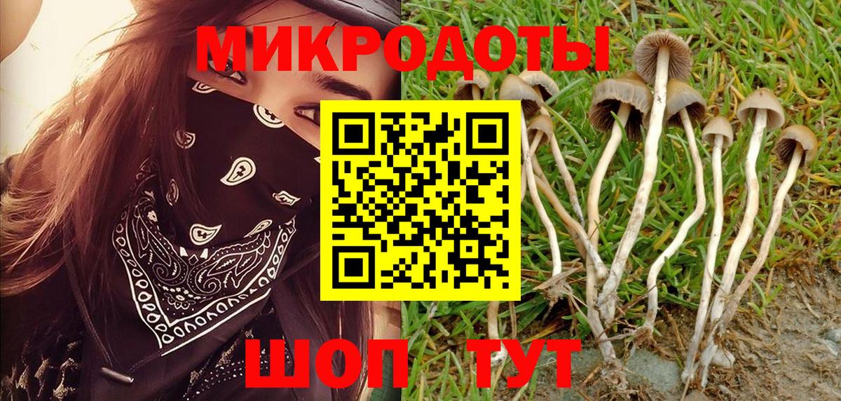 Псилоцибиновые грибы мухоморы Партизанск